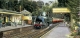 Jigsaw Sunny Day at Alresford